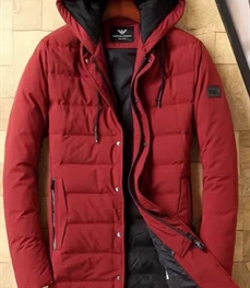 市场上装-棉衣/羽绒服-时尚男装棉服