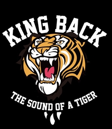 市场上装-卫衣-时尚男装卫衣