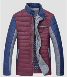 市场上装-棉衣/羽绒服-时尚商务棉服