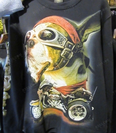 市场上装-卫衣-（实拍）时尚男装卫衣