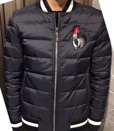 市场上装-棉衣/羽绒服-时尚男装棉服