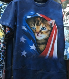 市场上装-T恤-（实拍）时尚男装t恤