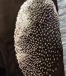 市场上装-棉衣/羽绒服-时尚男装棉服