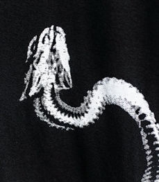 市场上装-T恤-休闲男装t恤