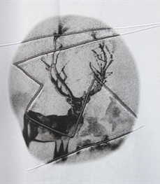 市场上装-T恤-时尚男装t恤