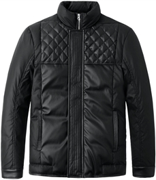 市场上装-棉衣/羽绒服-时尚男装棉服