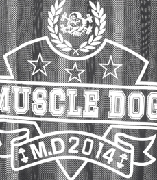 市场上装-T恤-休闲男装t恤