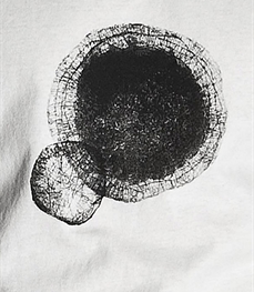 市场上装-T恤-休闲男装t恤