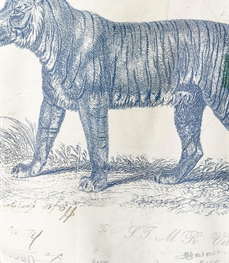 市场上装-夹克-休闲男装夹克