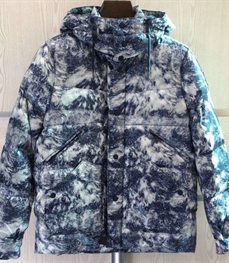 市场上装-棉衣/羽绒服-时尚男装棉服