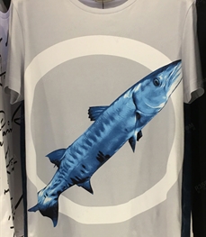 市场上装-T恤-（实拍）时尚男装t恤