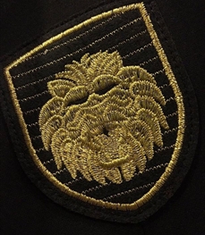 市场上装-单西-休闲男装单西