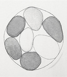 市场上装-T恤-休闲男装t恤