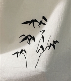 市场上装-衬衫-时尚男装衬衫