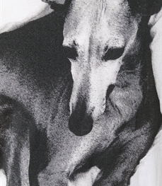 市场上装-T恤-休闲男装t恤