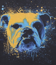 市场上装-卫衣-休闲男装卫衣