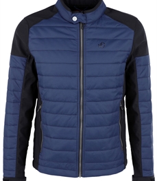 市场上装-棉衣/羽绒服-时尚男装棉服