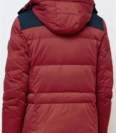 市场上装-棉衣/羽绒服-时尚男装棉服