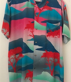 市场上装-衬衫-（实拍）时尚商务衬衫