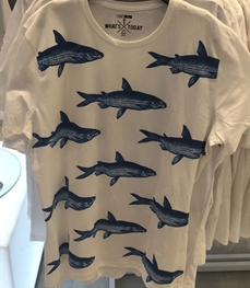 市场上装-T恤-（实拍）休闲男装t恤