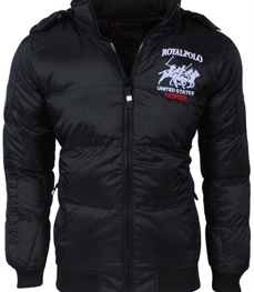 市场上装-棉衣/羽绒服-时尚男装棉服