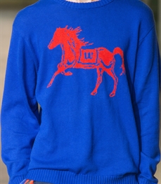 市场上装-毛衫-时尚商务毛衫