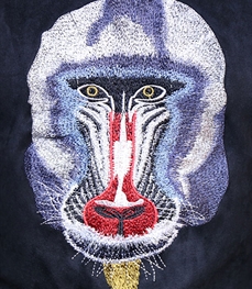 市场上装-卫衣-时尚男装卫衣