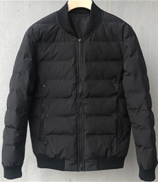 市场上装-棉衣/羽绒服-时尚男装棉服