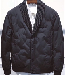 市场上装-棉衣/羽绒服-时尚男装棉服