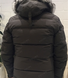 市场上装-棉衣/羽绒服-（实拍）休闲男装棉服