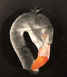 市场上装-卫衣-时尚男装卫衣