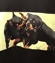 市场上装-卫衣-时尚男装卫衣