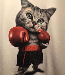 市场上装-卫衣-时尚男装卫衣