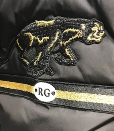 市场上装-棉衣/羽绒服-时尚男装棉服