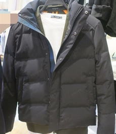 市场上装-棉衣/羽绒服-（实拍）时尚商务棉服