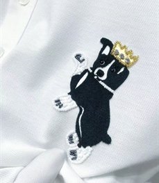 市场上装-T恤-时尚Polo【实拍】