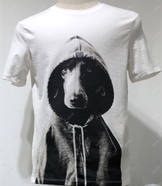 市场上装-T恤-休闲【实拍】