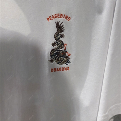 市场上装-T恤-靓仔T恤【实拍】