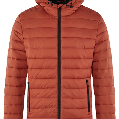 市场上装-棉衣/羽绒服-外单靓仔棉服