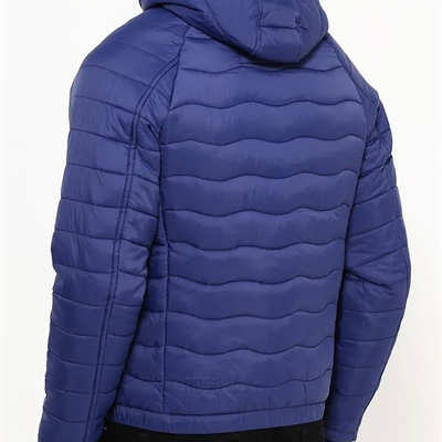 市场上装-棉衣/羽绒服-外单靓仔棉服