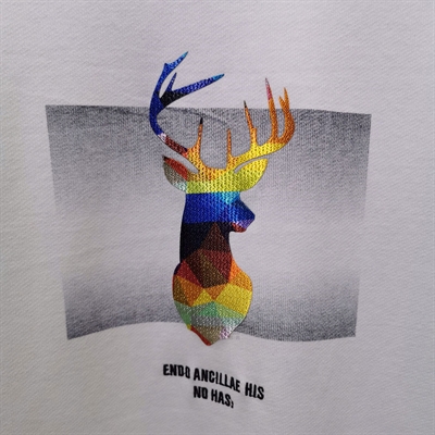 市场上装-卫衣-靓仔卫衣【实拍】