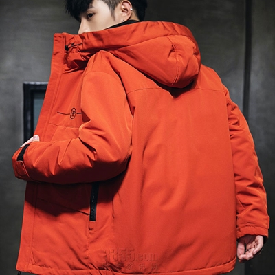 市场上装-棉衣/羽绒服-休闲棉服