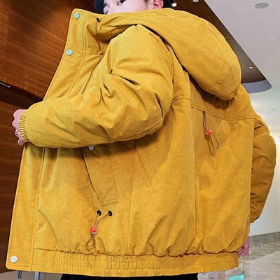 市场上装-棉衣/羽绒服-休闲棉服