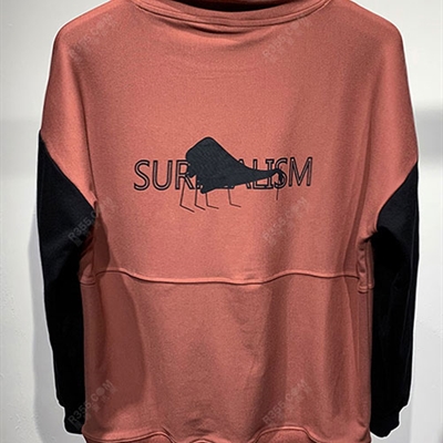 市场上装-卫衣-休闲卫衣【实拍】