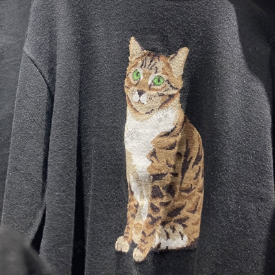 市场上装-毛衫-休闲毛衫【实拍】