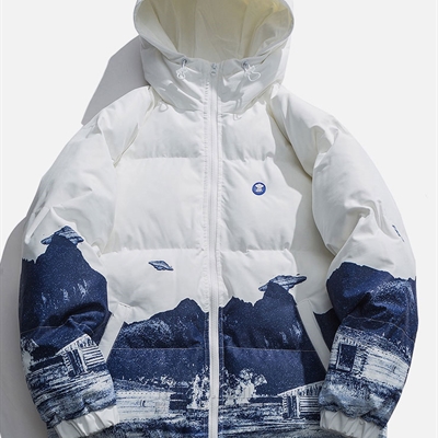 市场上装-棉衣/羽绒服-微潮棉服