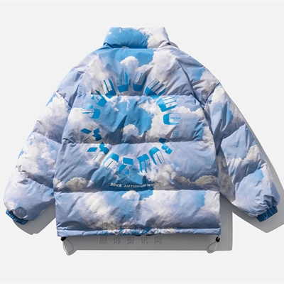 市场上装-棉衣/羽绒服-微潮棉服