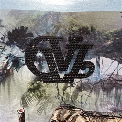 市场上装-T恤-欧货T恤【实拍】