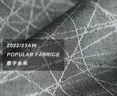 2022/23秋冬男装面料趋势：数字未来