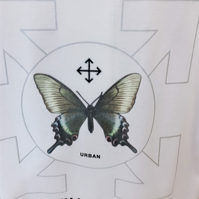 市场上装-T恤-欧货T恤【实拍】